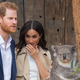 Illustration for article titled Pretty Sure This Koala Is an Anti-Monarchist